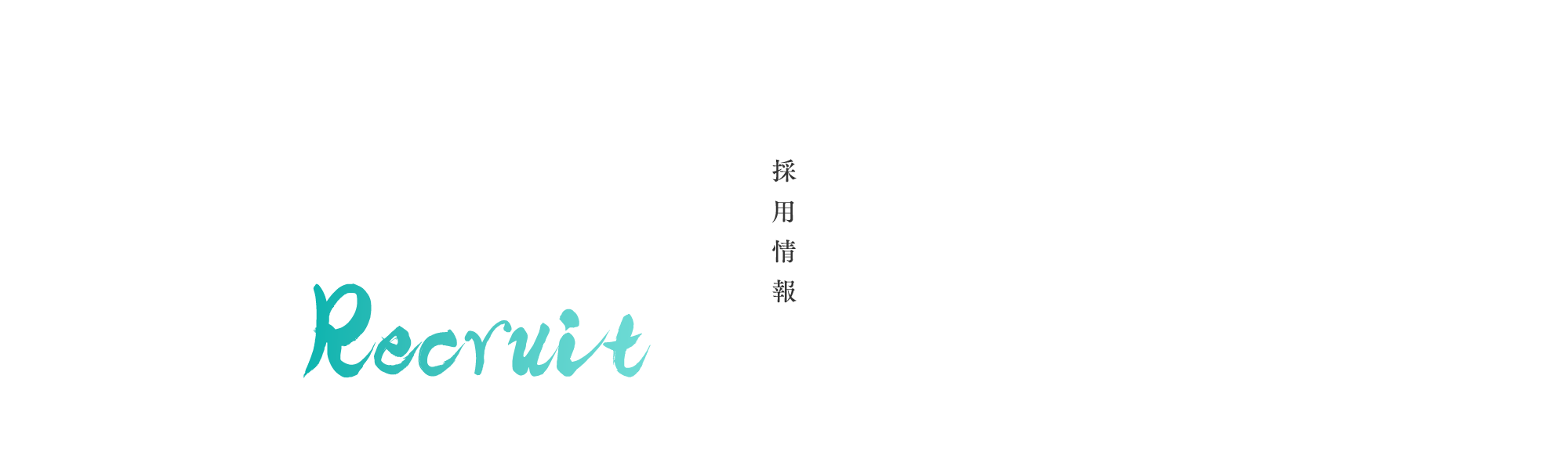 採用情報